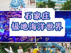 -石家庄极地海洋世界