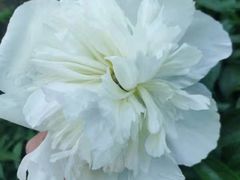 -长春公园(普阳街道)