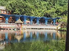 -西双版纳原始森林公园