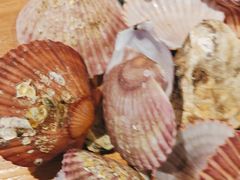 -1937青岛老味道·海肠捞饭·青岛菜(大鲍岛栈桥店)