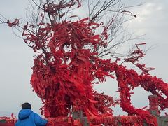 -句容茅山景区