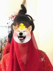 -盘子女人坊古装写真摄影(厦门总店)