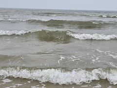 -日照海滨国家森林公园