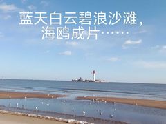 -南戴河旅游度假区