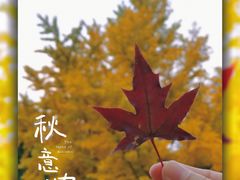 -月坛公园