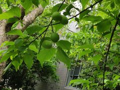 -呀诺达热带雨林