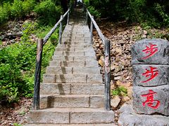 -茅兰沟国家森林公园