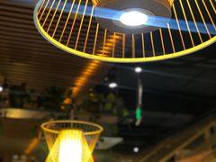 -探窝·竹笙椰子鸡(杨箕店)