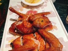 红烧乳鸽-大鸽饭(北京路店)