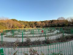 -昆山城市生态森林公园