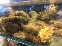 -吕氏疙瘩汤·私家菜馆(慈云寺店)