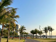 -深圳湾公园(南山区)
