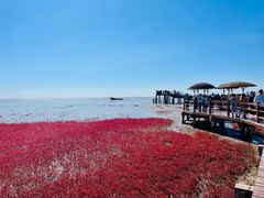 -红海滩国家风景廊道