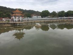 -红山村