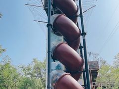 -欢乐松鼠谷