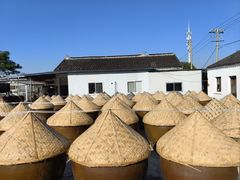 -苏州市吴中区光福窑上花果蜜饯厂