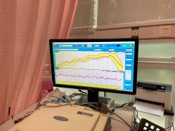 -复旦大学附属妇产科医院(杨浦院区)