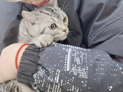 -唐小姐の猫狗洗护·购宠旗舰店(周浦万达店)
