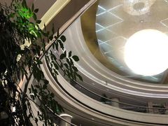 -东旭阳光国际大酒店