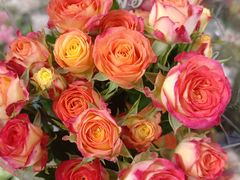 -循礼门鲜花花市(武汉循礼门店)