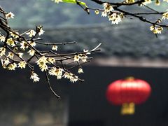 -车溪民俗旅游区