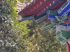 -罔极寺
