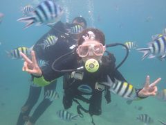 -海南分界洲岛旅游区