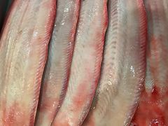 -浩运海鲜·16年专注青岛菜(石老人店)