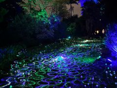 -墨尔本皇家植物园