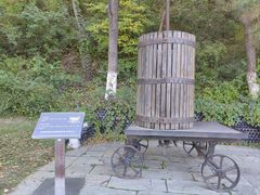 -北京张裕爱斐堡酒庄