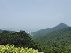 -太平山顶