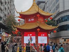-越秀西湖花市(广州城市广场花卉店)