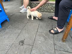 -途中饭店(开化店)