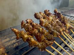 -民族烤羊·烤羊肉串·烤羊排(南城店)