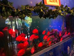 -白鹿仓冰雪海洋世界