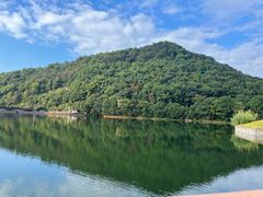 -桃花岭景区