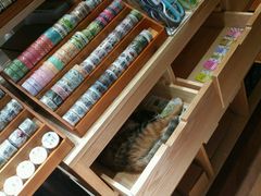 -猫的天空之城概念书店(杭州南宋御街店)