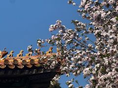 -故宫博物院(故宫)