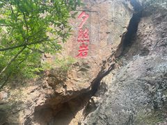 -树山生态村