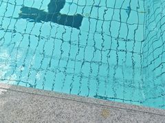 -汇乐游泳馆(莲花南路店)