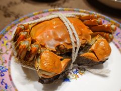 -新光酒家·河豚·海鲜·蟹料理(浦东店)