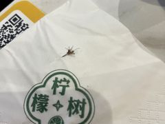 -柠檬树茶餐厅(海雅缤纷城店)