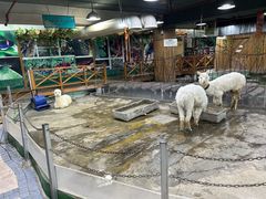 -上海大自然野生昆虫馆(东方明珠·爬宠昆虫探索中心)