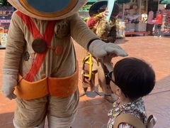 -郑州方特梦幻王国