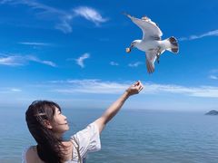 -海驴岛(荣成市)