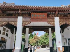 -团结湖公园