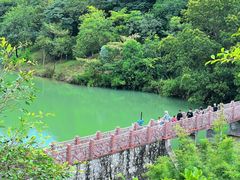 -广州市流溪河国家森林公园