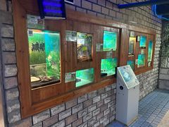 -上海大自然野生昆虫馆(东方明珠·爬宠昆虫探索中心)