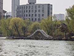 -迎泽公园
