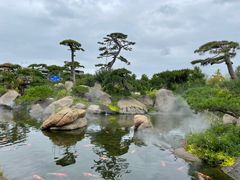 -罗红摄影艺术馆